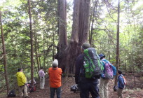 奥津軽トレイル 奥津軽トレイル